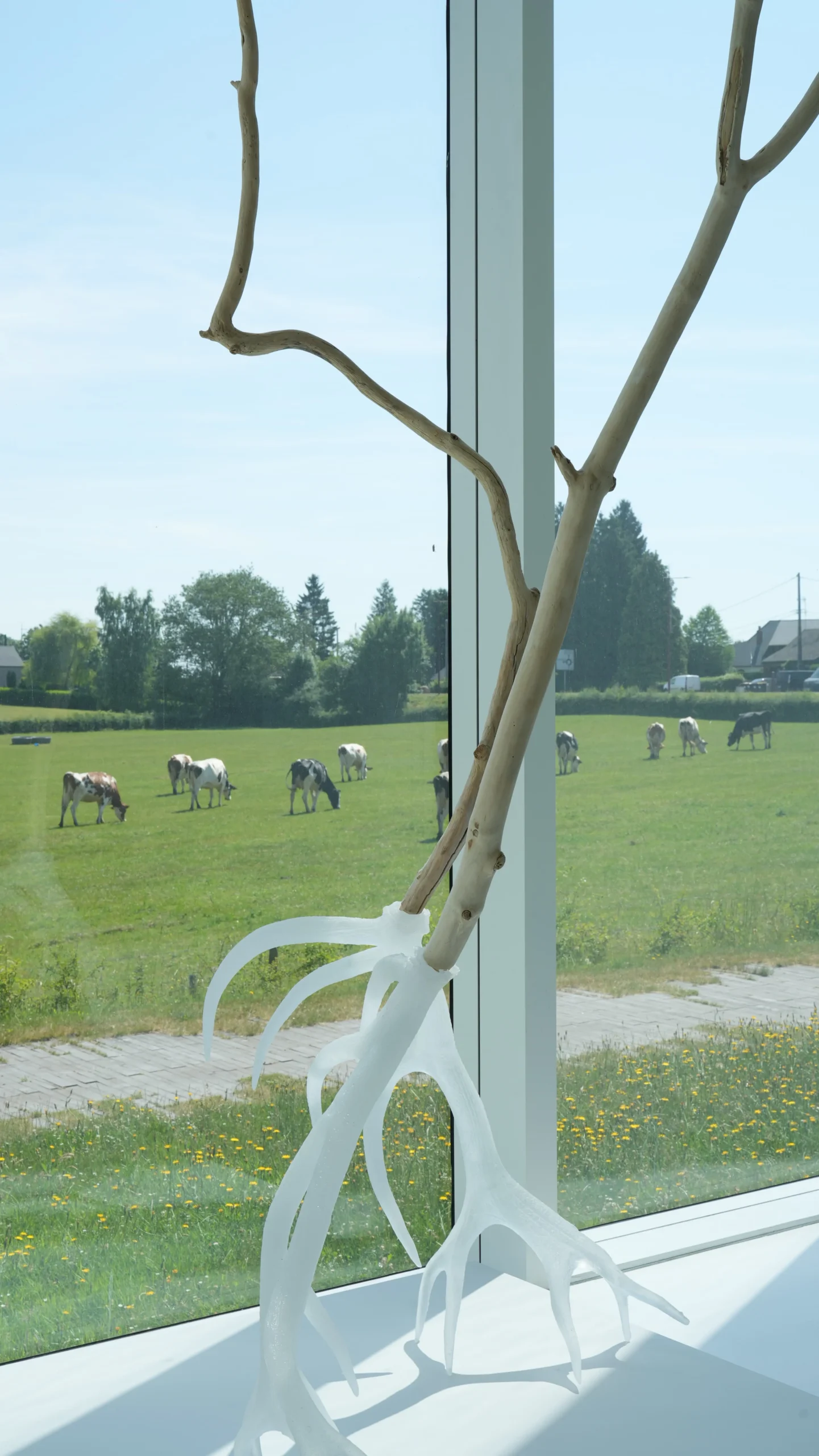 Musverre dans le cadre d'un voyage à vélo dans le Nord de la France