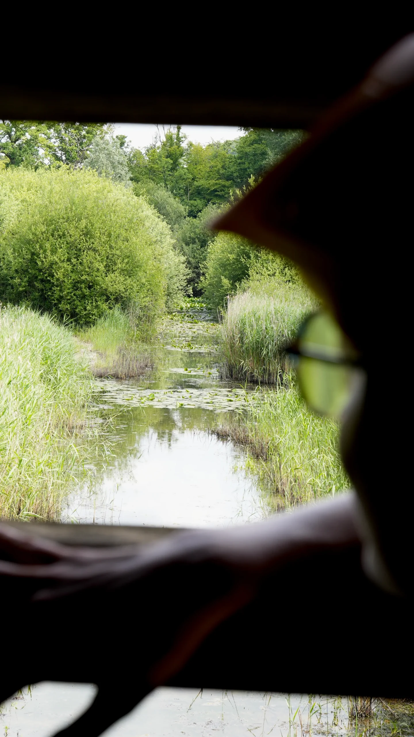 Parc de l'abbaye Liessies lors d'un séjour à vélo dans le nord